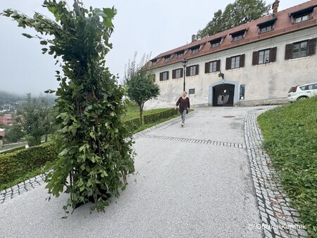 Med snemanjem videa (8)